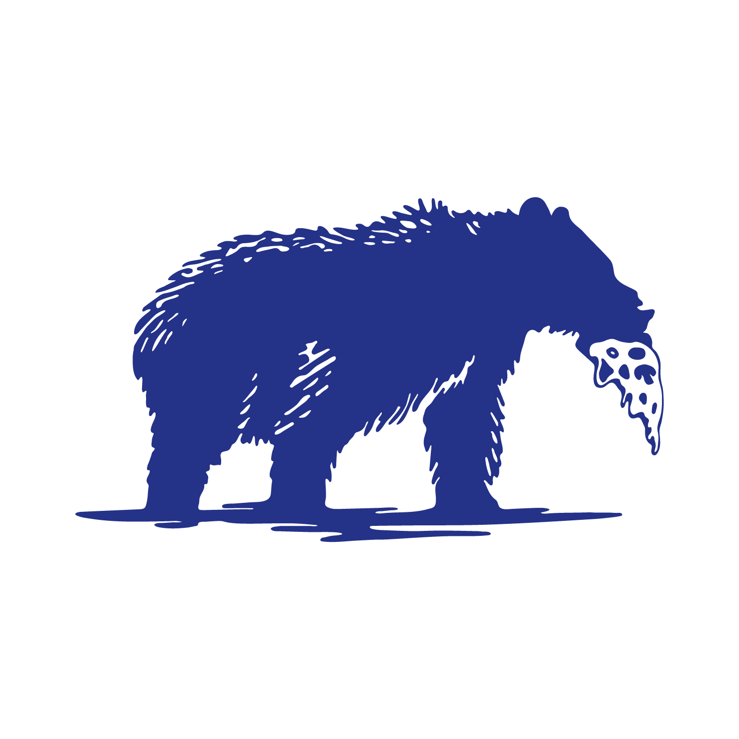 The Revolution logo